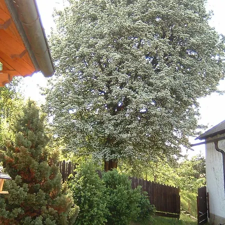 Gasthof Siegfried Gruber Guest house