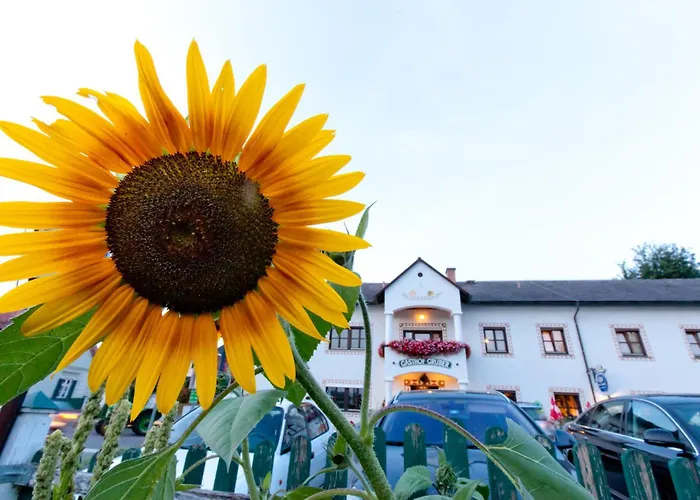 齐格弗里德格鲁伯酒店